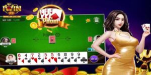 Thông tin sơ bộ về phỏm IWIN